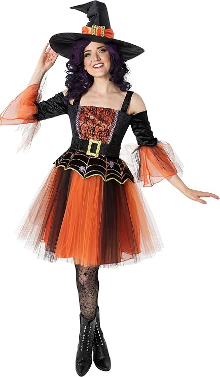 Rubie's Women's Wicked Witch Costume (Inspired by Classic Literature)